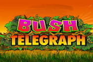 Bush Telegraph