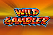 Wild Gambler